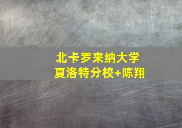 北卡罗来纳大学夏洛特分校 陈翔